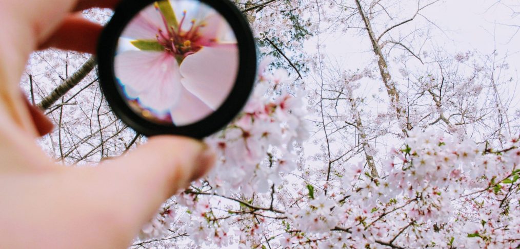 Deepen understanding